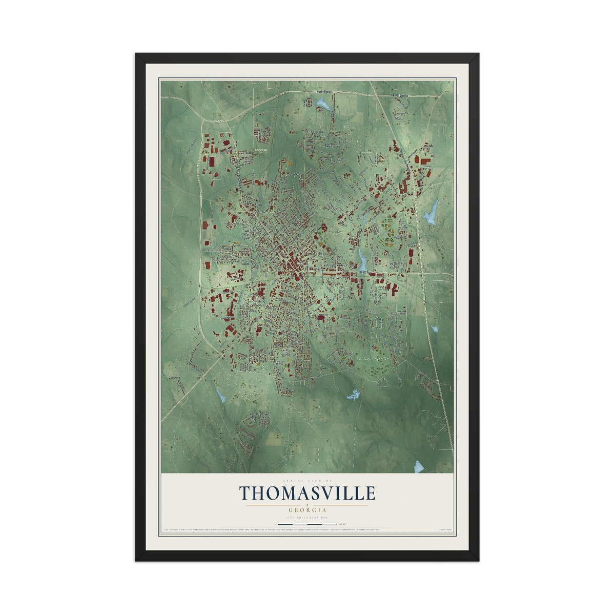 Thomasville, Georgia map print, 12" x 18" W/ Black Ayous Wood Frame mockup