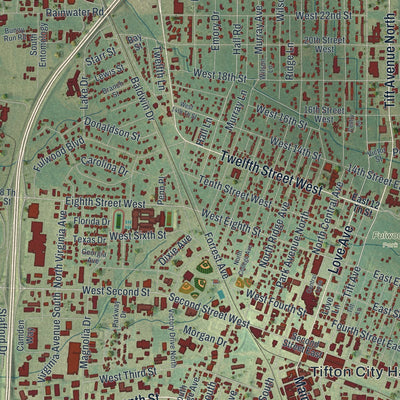 Close-up 1 of the Tifton, Georgia map artwork