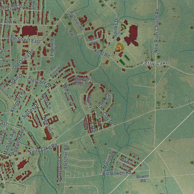 Close-up 2 of the Tifton, Georgia map artwork