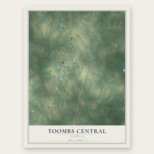 Toombs Central, Georgia map print, the full design