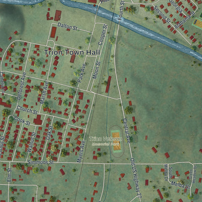 Close-up 1 of the Trion, Georgia map artwork
