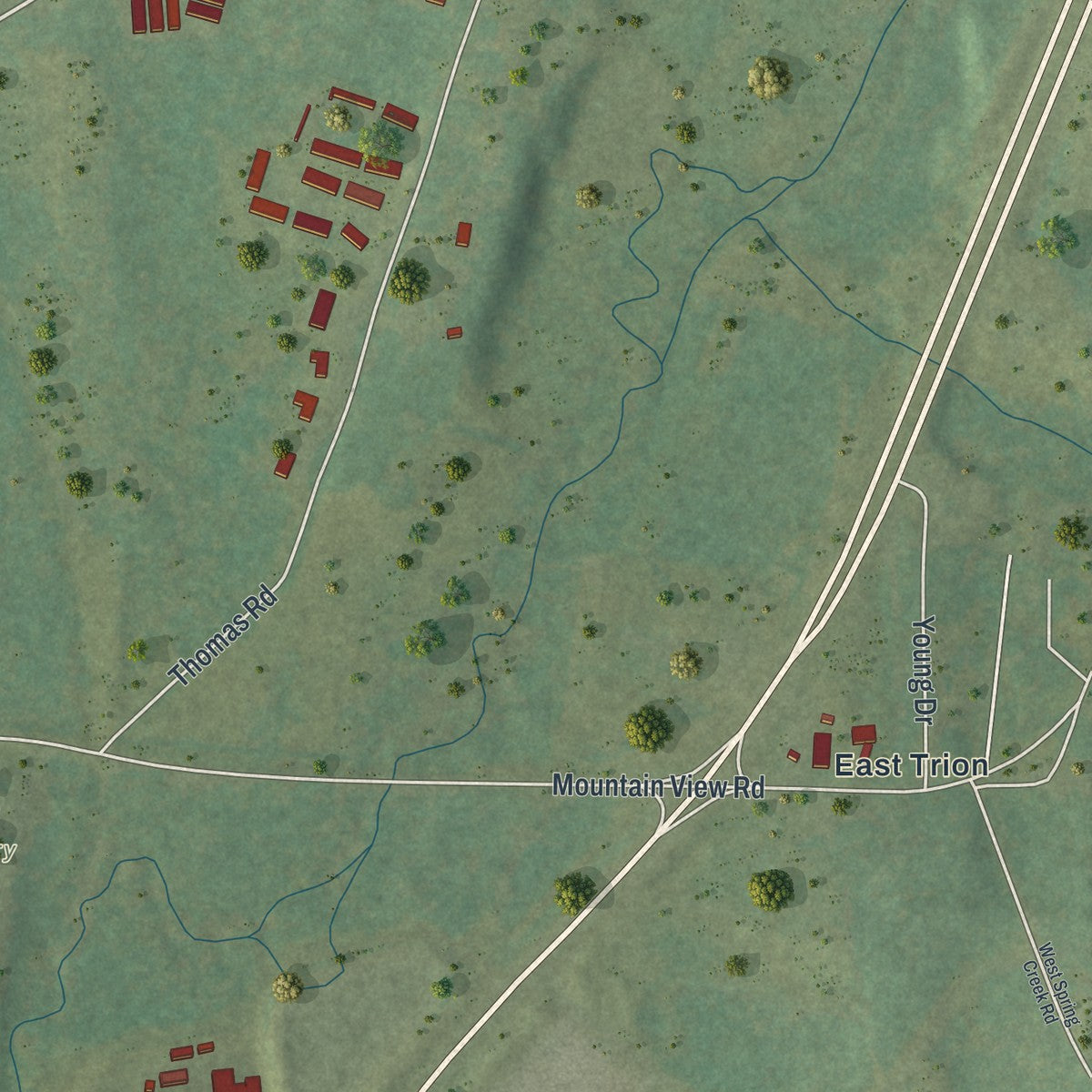 Close-up 2 of the Trion, Georgia map artwork