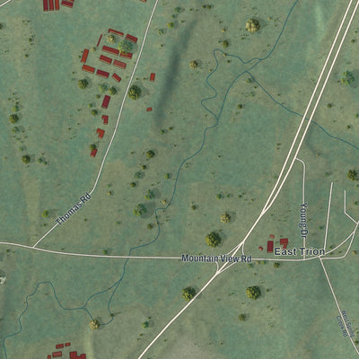 Close-up 2 of the Trion, Georgia map artwork