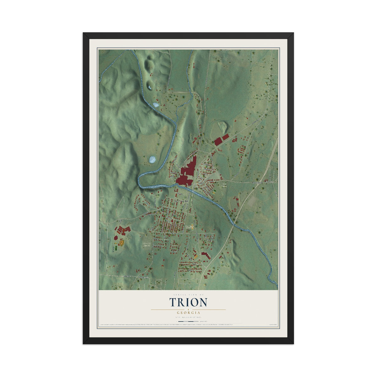 Trion, Georgia map print, 12" x 18" W/ Black Ayous Wood Frame mockup