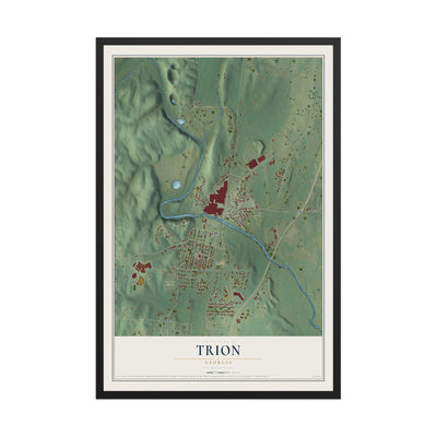 Trion, Georgia map print, 12" x 18" W/ Black Ayous Wood Frame mockup