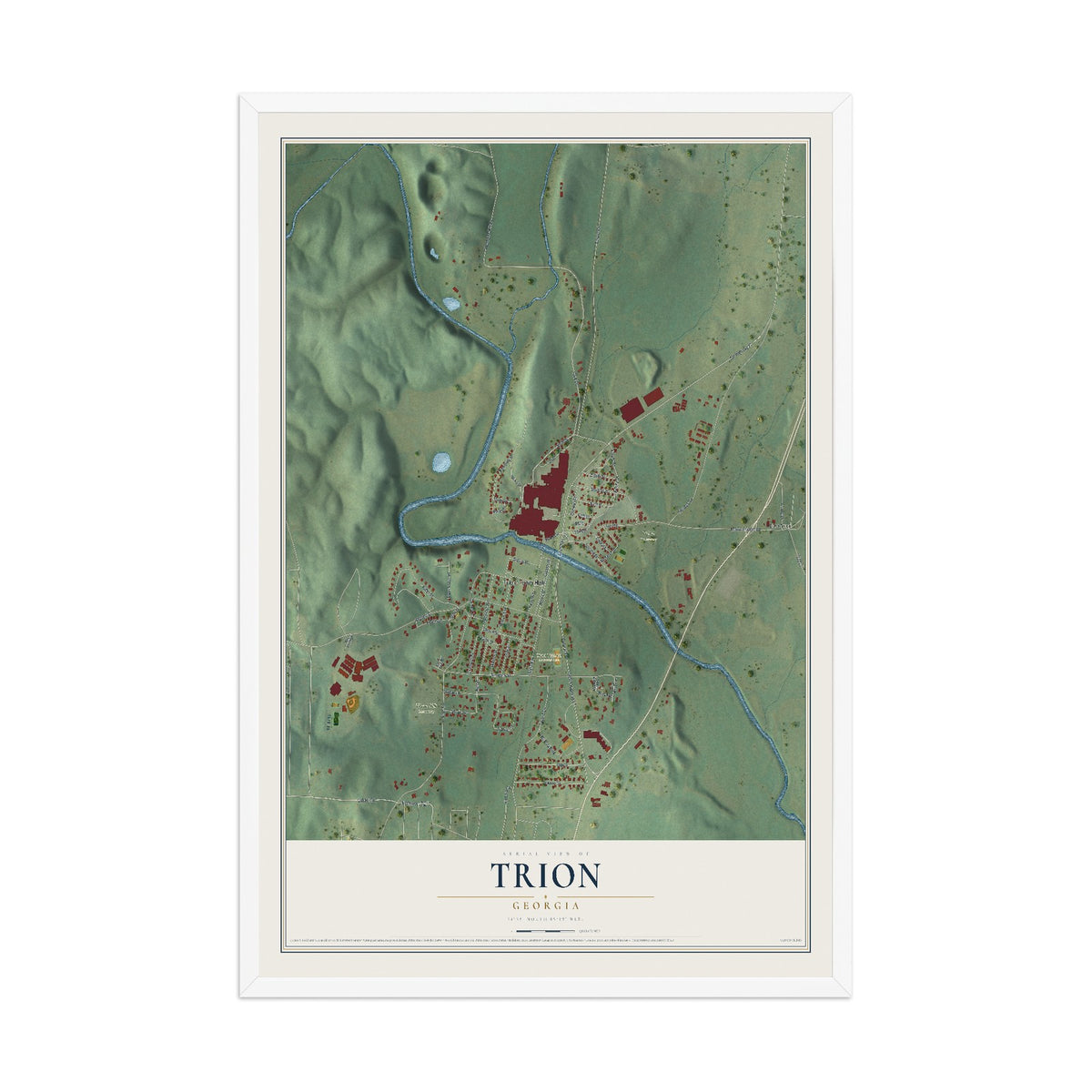 Trion, Georgia map print, 12" x 18" W/ White Ayous Wood Frame mockup