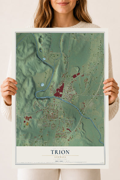 Trion, Georgia map print, 18" x 24" Archival Matte Print mockup