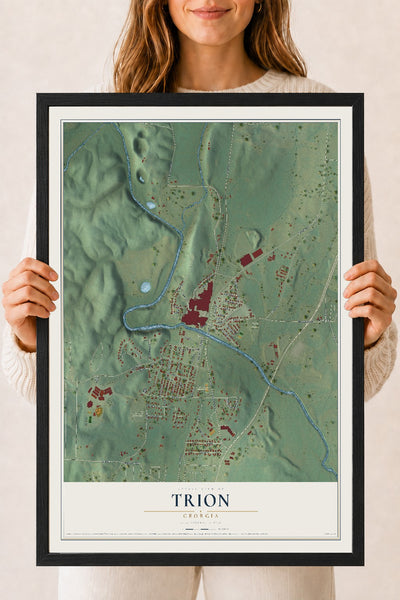 Trion, Georgia map print, 18" x 24" W/ Black Ayous Wood Frame mockup
