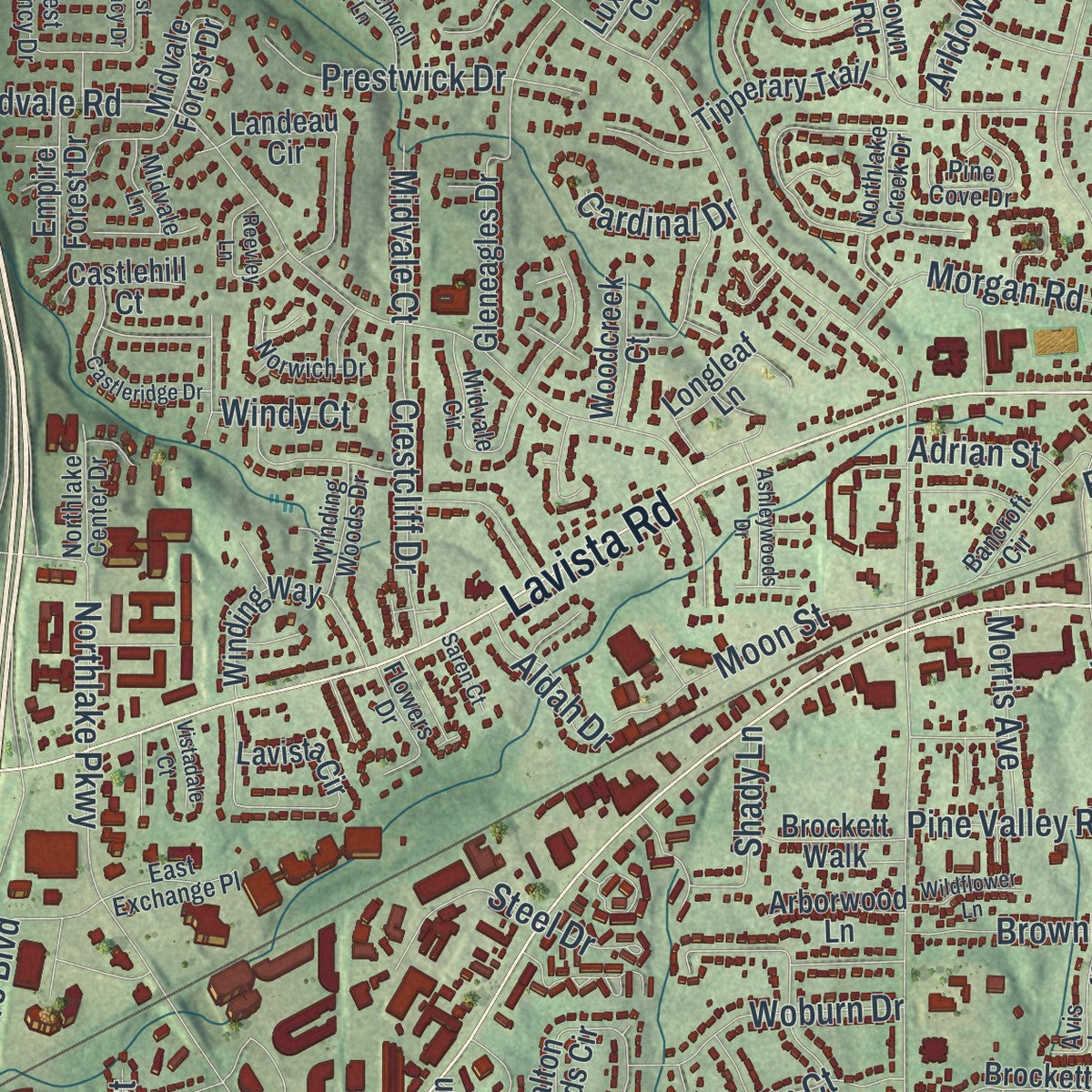Close-up 1 of the Tucker, Georgia map artwork