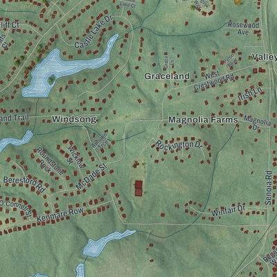 Close-up 2 of the Tyrone, Georgia map artwork