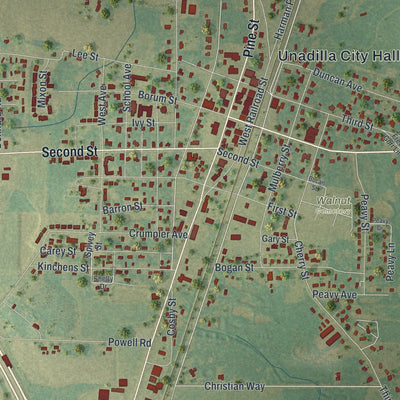 Close-up 1 of the Unadilla, Georgia map artwork