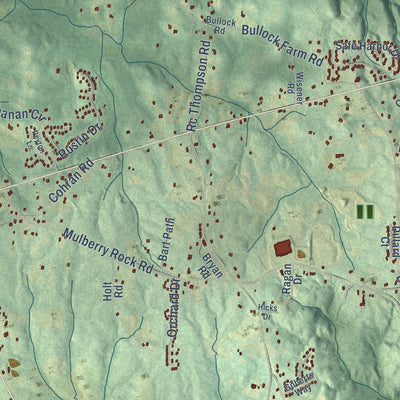 Close-up of the map of Union, Georgia print showing street and building detail