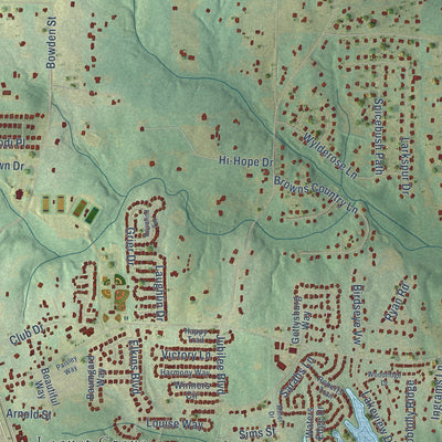 Close-up of the map of Unity Grove, Georgia print showing street and building detail