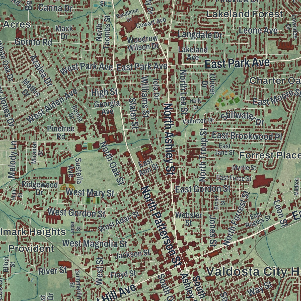 Close-up 1 of the Valdosta, Georgia map artwork