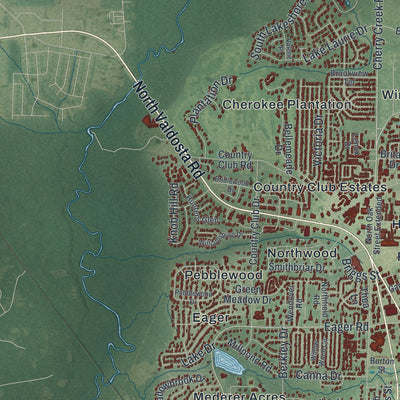 Close-up 2 of the Valdosta, Georgia map artwork