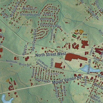 Close-up 2 of the Vidalia, Georgia map artwork