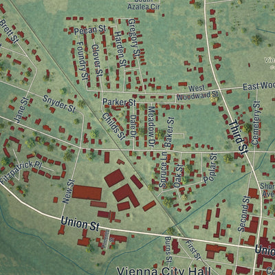 Close-up 1 of the Vienna, Georgia map artwork