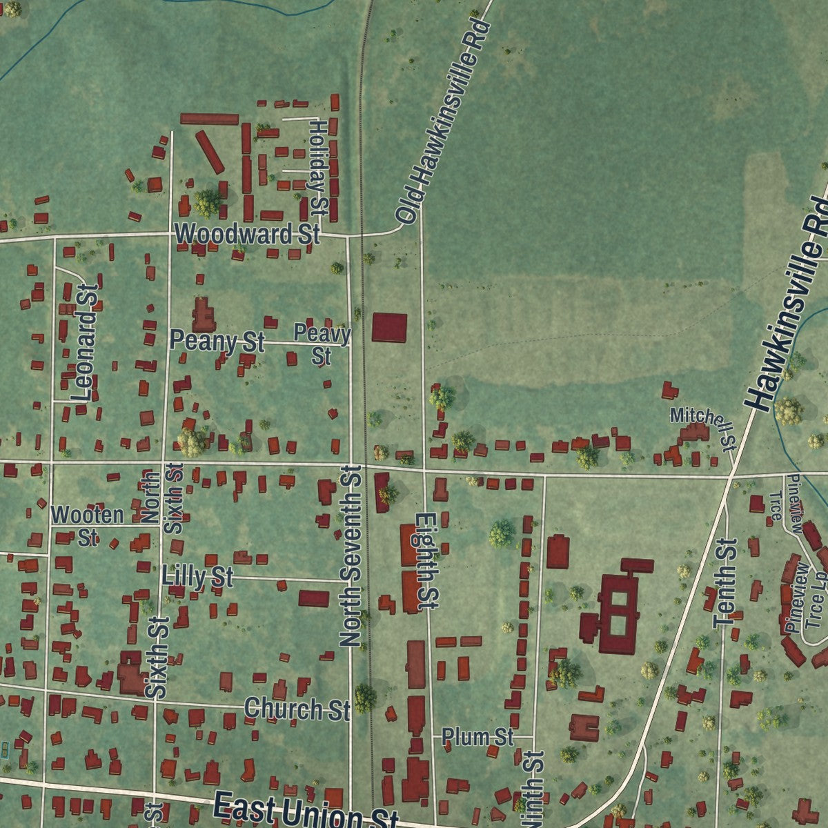 Close-up 2 of the Vienna, Georgia map artwork