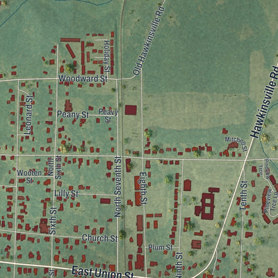 Close-up 2 of the Vienna, Georgia map artwork