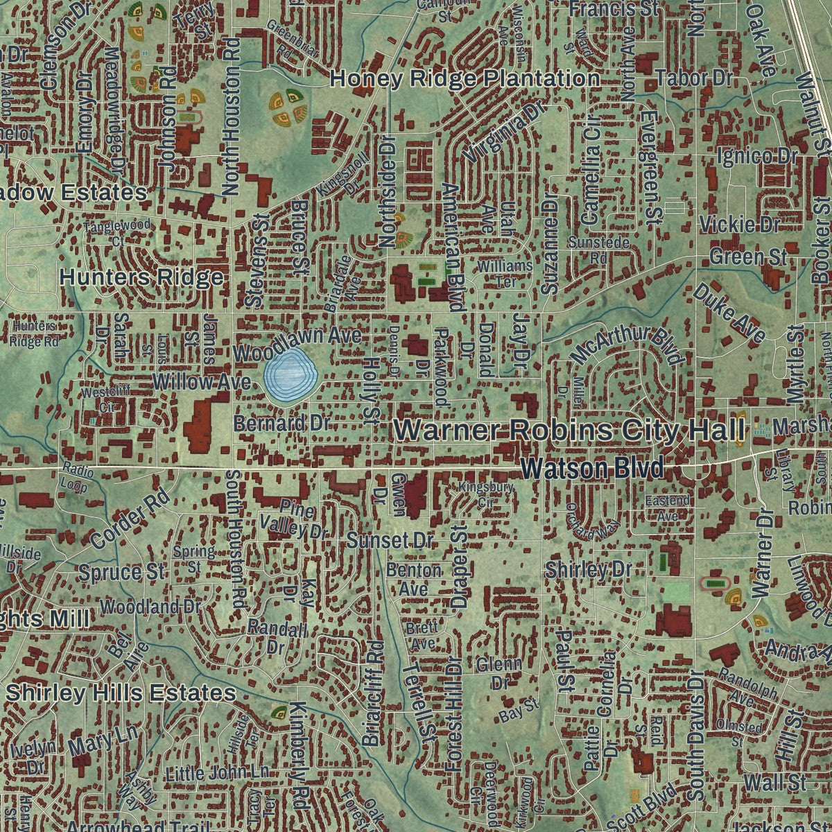Close-up 1 of the Warner Robins, Georgia map artwork