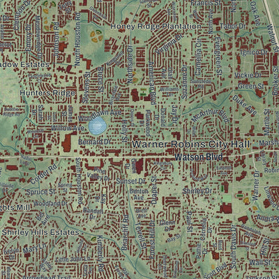 Close-up 1 of the Warner Robins, Georgia map artwork