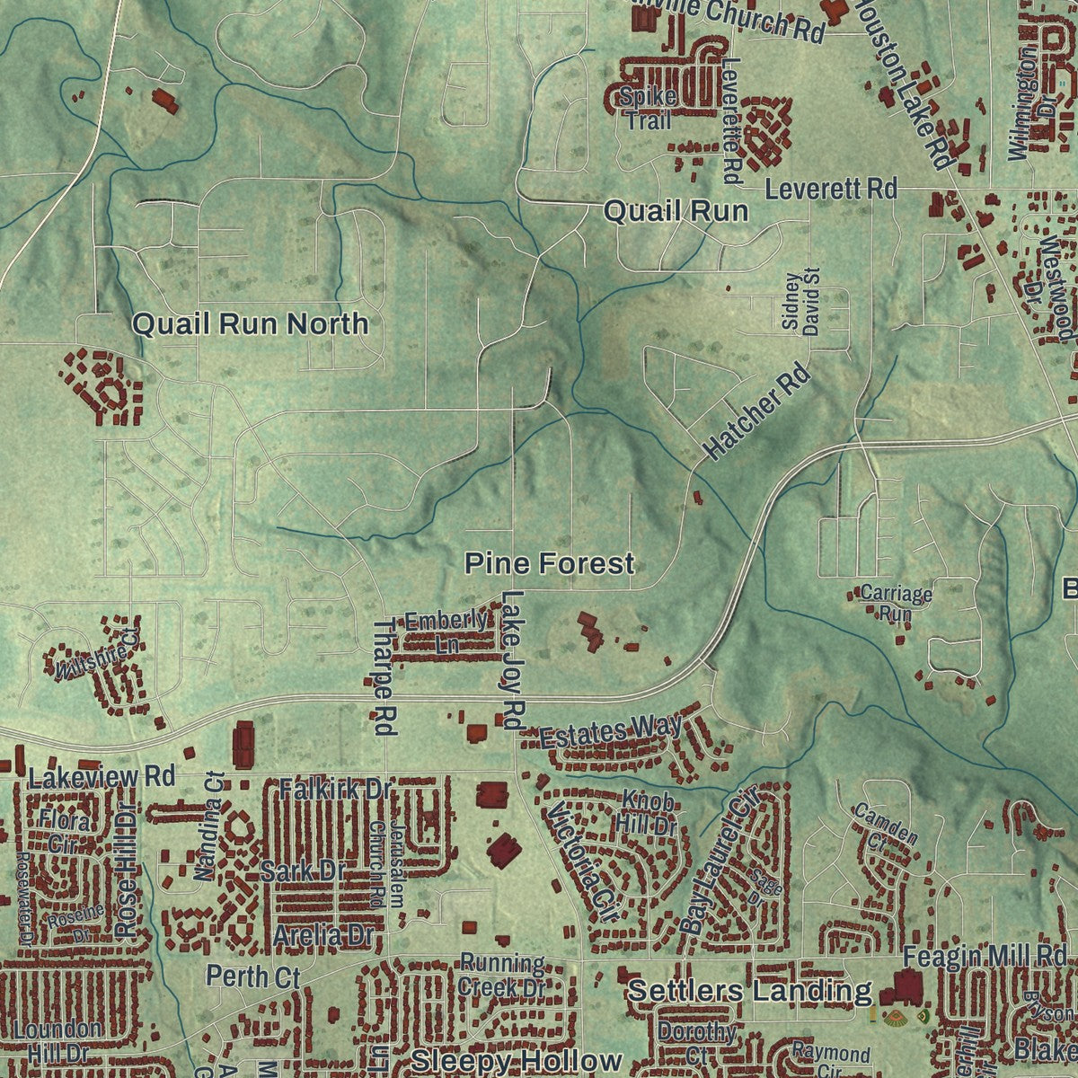 Close-up 2 of the Warner Robins, Georgia map artwork