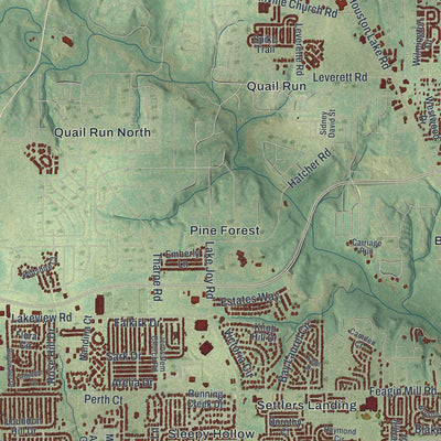 Close-up 2 of the Warner Robins, Georgia map artwork