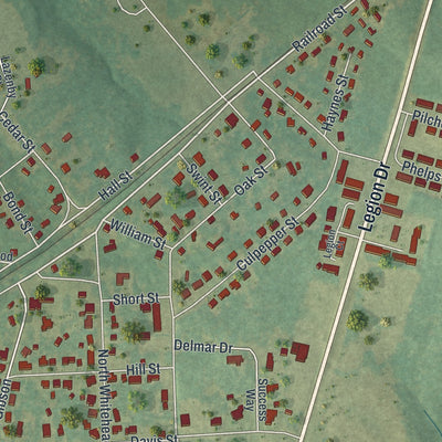 Close-up 2 of the Warrenton, Georgia map artwork