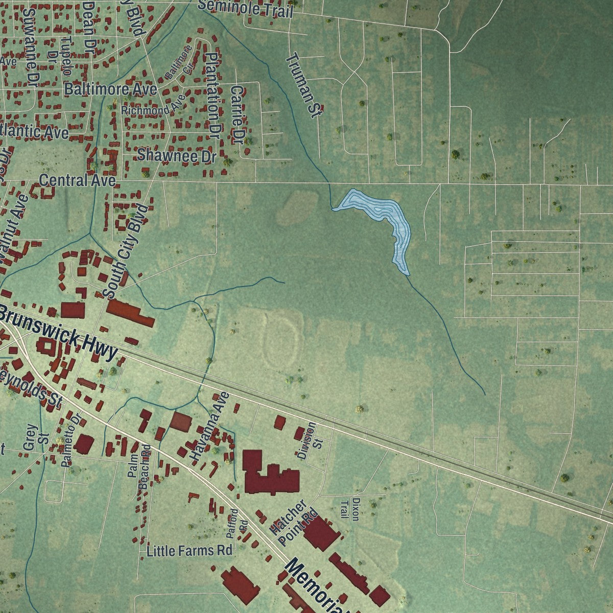 Close-up 2 of the Waycross, Georgia map artwork