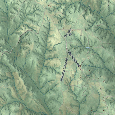 Close-up 1 of the Webster County, Georgia map artwork