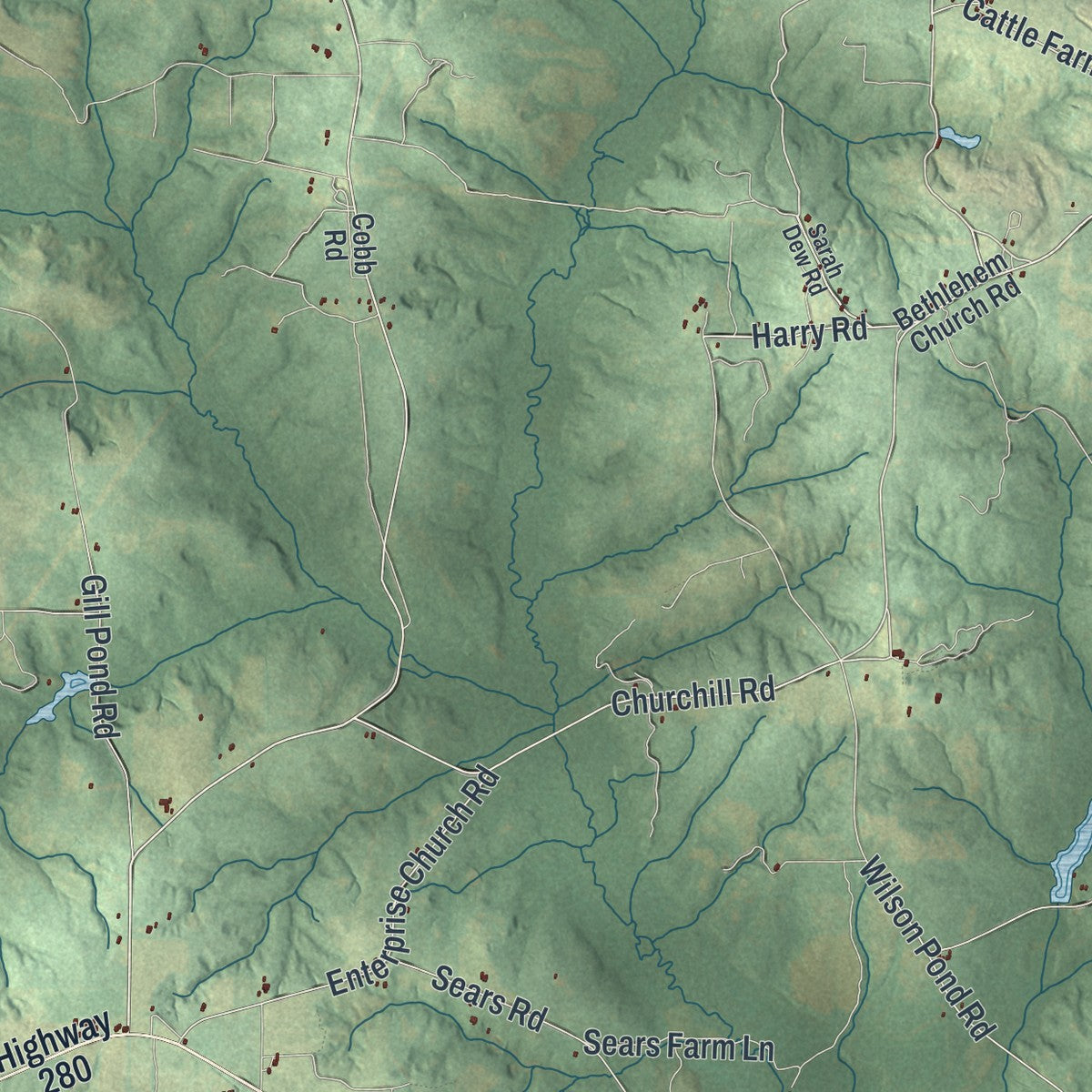 Close-up 2 of the Webster County, Georgia map artwork