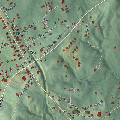 Close-up 1 of the Whitesburg, Georgia map artwork