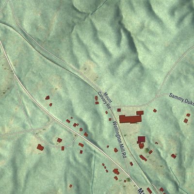 Close-up 2 of the Whitesburg, Georgia map artwork