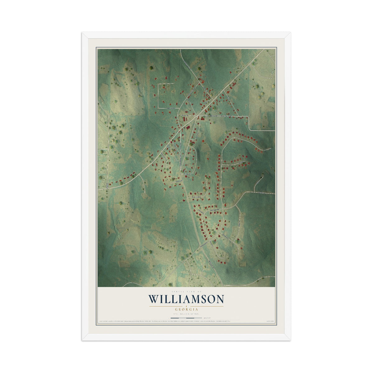 Williamson, Georgia map print, 12" x 18" W/ White Ayous Wood Frame mockup