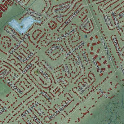 Close-up 1 of the Wilmington Island, Georgia map artwork