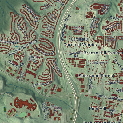 Close-up 1 of the Woodstock, Georgia map artwork