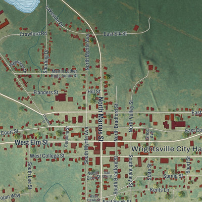 Close-up 1 of the Wrightsville, Georgia map artwork