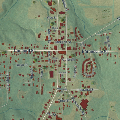 Close-up 1 of the Zebulon, Georgia map artwork