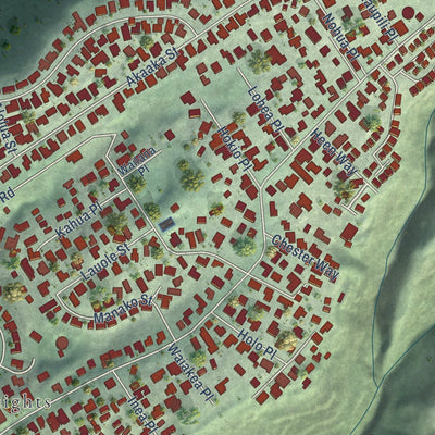 Close-up of the map of Aiea, Hawaii print showing street and building detail