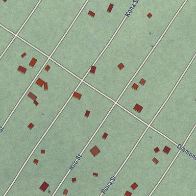 Close-up of the map of Black Sands, Hawaii print showing street and building detail