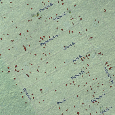 Close-up of the map of Eden Roc, Hawaii print showing street and building detail