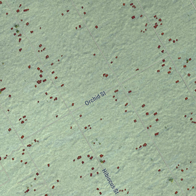 Close-up of the map of Fern Acres, Hawaii print showing street and building detail
