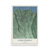 Map of Haiku-Pauwela, Hawaii, 12 x 18 inch unframed archival matte print