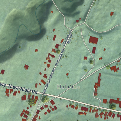 Close-up of the map of Halaula, Hawaii print showing street and building detail