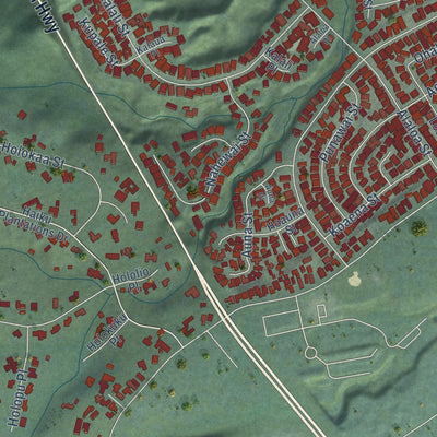 Second close-up of the map of Heeia, Hawaii print showing more streets and buildings