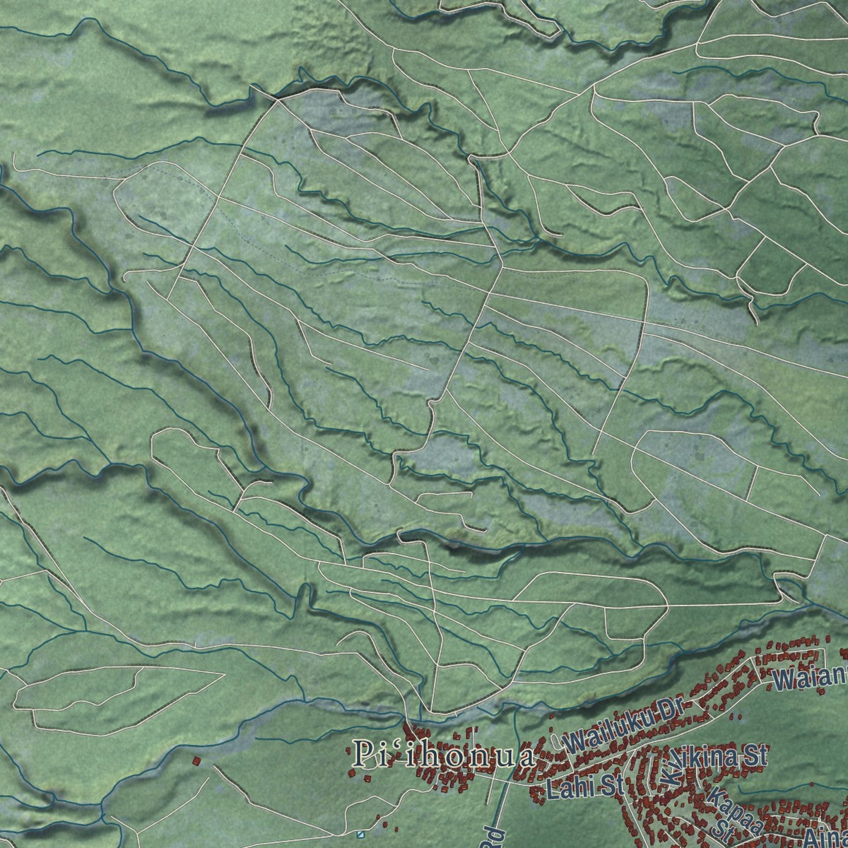 Second close-up of the map of Hilo, Hawaii print showing more streets and buildings