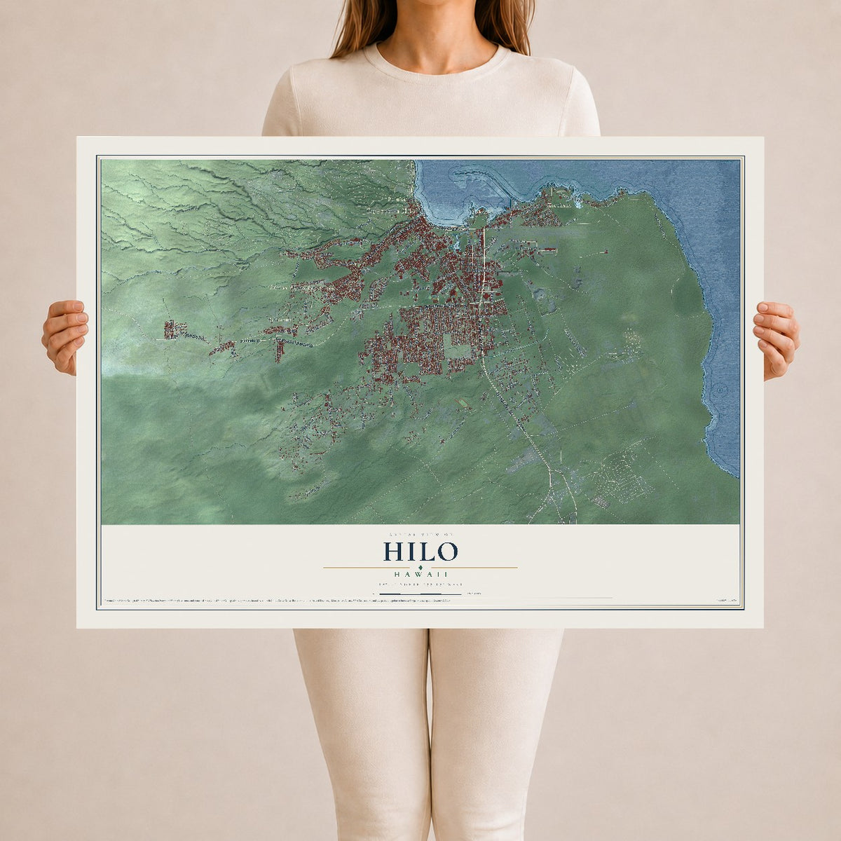Map of Hilo, Hawaii, 24 x 36 inch unframed archival matte print