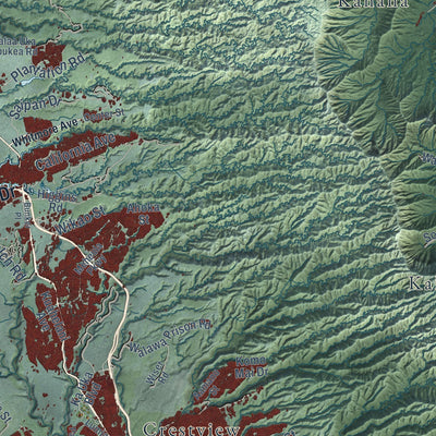 Close-up of the map of Honolulu, Hawaii print showing street and building detail