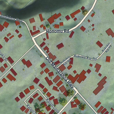 Close-up of the map of Honomu, Hawaii print showing street and building detail