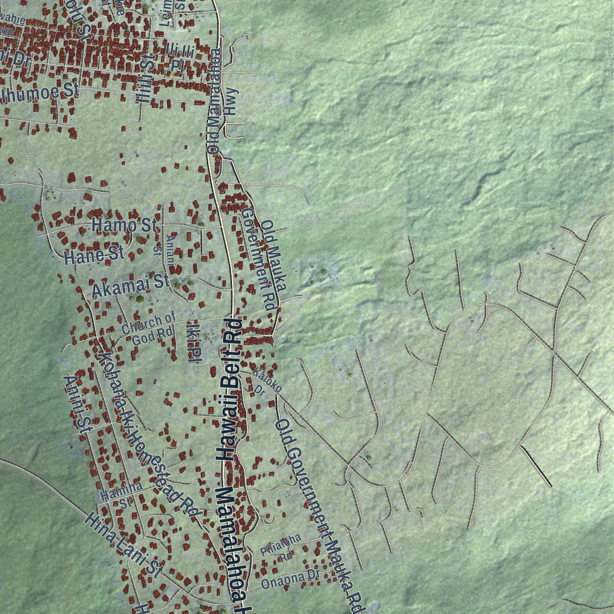 Close-up of the map of Kaiminani, Hawaii print showing street and building detail